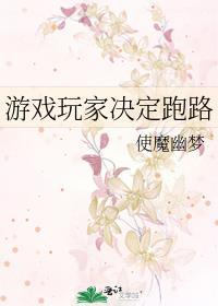 游戏玩家决定跑路txt